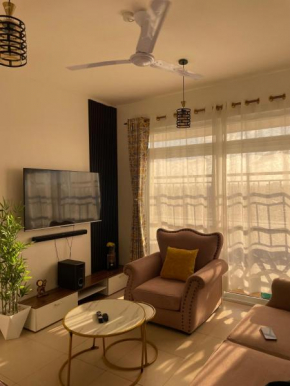Molly apartment